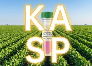 KASP基因分型產品選購指南